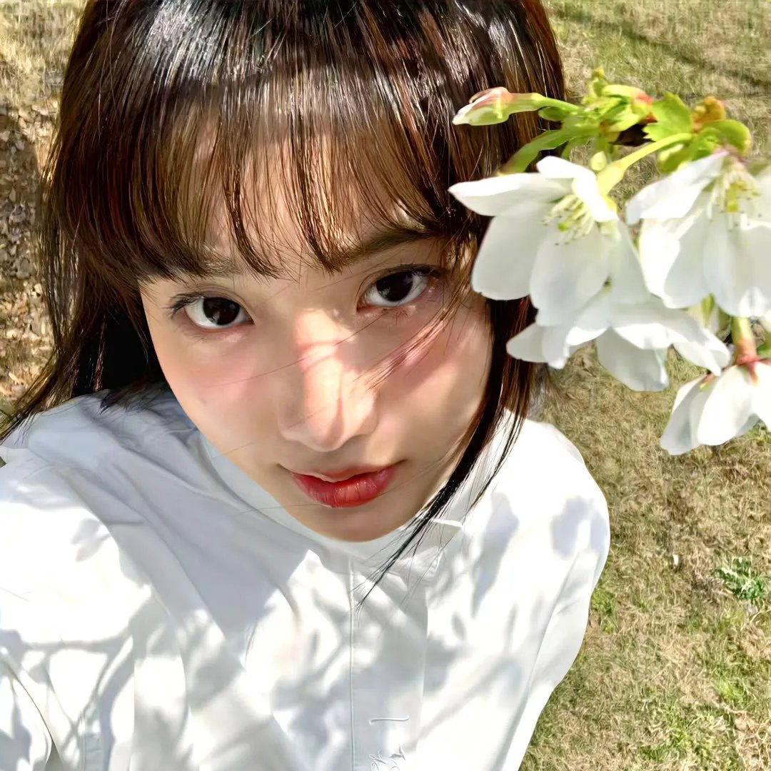大鸟和小鸟